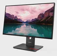 LENOVO Monitor ThinkVision T24-40 23.8" IPS, FHD, HDMI/DP/VGA, crni